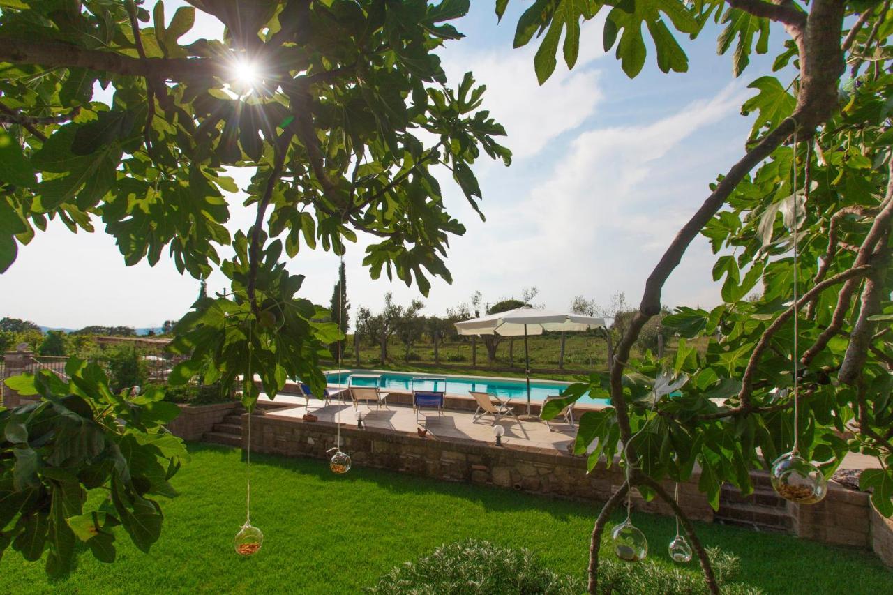 Ficolivo Bed & Breakfast Pitigliano Exterior foto